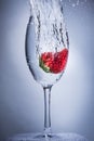 Strawberry splash plunge into water in a wine glass. Royalty Free Stock Photo