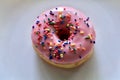 Strawberry Sprinkle Doughnut