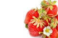 Strawberry stack isolated on a white background. Free space for text