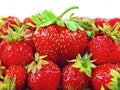 Strawberry Royalty Free Stock Photo