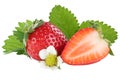 Strawberry strawberries berry berries fruit fruits leaves isolated on white Royalty Free Stock Photo