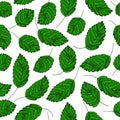 Summer seamless pattern in cartoon style on white background with green leaves strawberries. Botanical vector illustration.