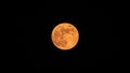 Strawberry Supermoon (Supermoon of strawberry) in the dark night in june 2020 in Spain