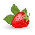Strawberry. Sweet Fruit Isolated On A White Background.