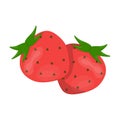 Strawberry, sweet and sour fruit.Fruit single icon in cartoon style vector symbol stock illustration web.