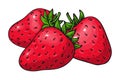 Strawberry sweet whole ripe red fresh juicy fruit Royalty Free Stock Photo