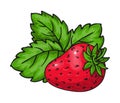 Strawberry sweet whole ripe red fresh juicy fruit Royalty Free Stock Photo