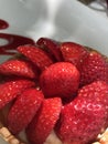 Strawberry tart close up Royalty Free Stock Photo