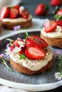 Strawberry tart on dark plate with mint decoration. Macro shot with selective focus