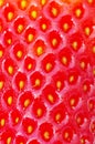 Strawberry texture Royalty Free Stock Photo