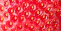 Strawberry texture Royalty Free Stock Photo