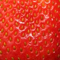 Strawberry Texture. Berry Background