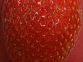 Strawberry texture close up with macro lens Royalty Free Stock Photo