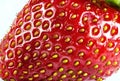 Strawberry texture extreme close up photo. Royalty Free Stock Photo