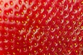 Strawberry texture - macro Royalty Free Stock Photo