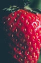 Strawberry texture macro detail