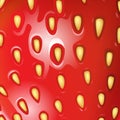 Strawberry texture vector close up Royalty Free Stock Photo