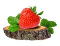 Strawberry on a tree stump isolated on white Royalty Free Stock Photo