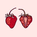 Strawberry. Two berries, whole and cut in half. Royalty Free Stock Photo