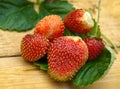 Strawberry Royalty Free Stock Photo