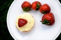 Strawberry and Vanilla Cupcakes on Grass Royalty Free Stock Photo