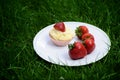 Strawberry and Vanilla Cupcakes on Grass Royalty Free Stock Photo