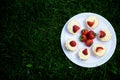 Strawberry and Vanilla Cupcakes on Grass Royalty Free Stock Photo