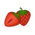 Strawberry Fruit Design Vector Cartoon