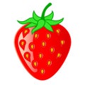 Strawberry vector cartoon