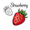 Strawberry vector drawing icon.