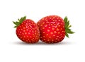 Strawberry vector fresh berry desert. Fruit sweet food