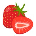 Strawberry vector.Fresh strawberry illustration Royalty Free Stock Photo