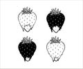 Strawberry vector illustration in black and white