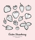 Strawberry vector isolated. Fruits collection hand drawn set. Trendy food vegetarian menu, fruit icons set in ink style