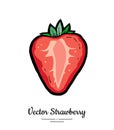 Strawberry vector isolated. Red berry hand drawn illustration. Trendy food vegetarian menu, fruit icon. Half strawberry