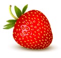 Strawberry. Vector.