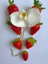 Strawberry verb V Desert With orchid on white plate