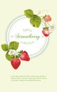 Strawberry vertical banner