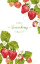 Strawberry vertical banner