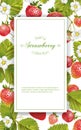 Strawberry vertical banner