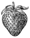 Strawberry Vintage Woodcut Illustration