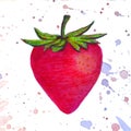 Strawberry watercolor made of colorful splashes on white background. Vector logo, icon, card illustration