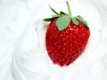 Strawberry and whip 3