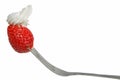 Strawberry with whip in a fork