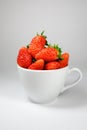 Strawberry in the white coffee cup on a white background Royalty Free Stock Photo