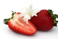 Strawberry and white flower Royalty Free Stock Photo