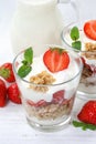 Strawberry yogurt yoghurt strawberries fruits cup muesli portrait format breakfast Royalty Free Stock Photo