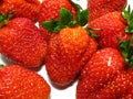 Strawberrys Royalty Free Stock Photo