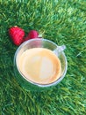 strawberrys with cup of coffee on the grass