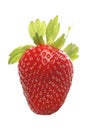 Strawbwrry Royalty Free Stock Photo